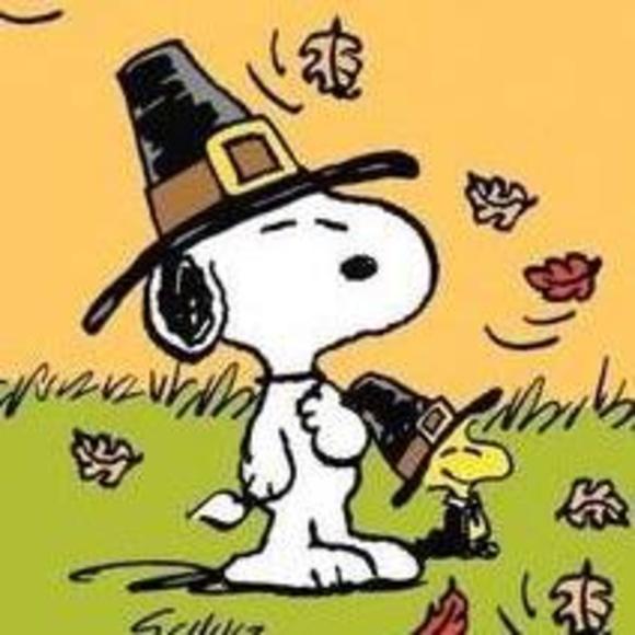 Meet your Posher, Sue - Picture 1 of 1